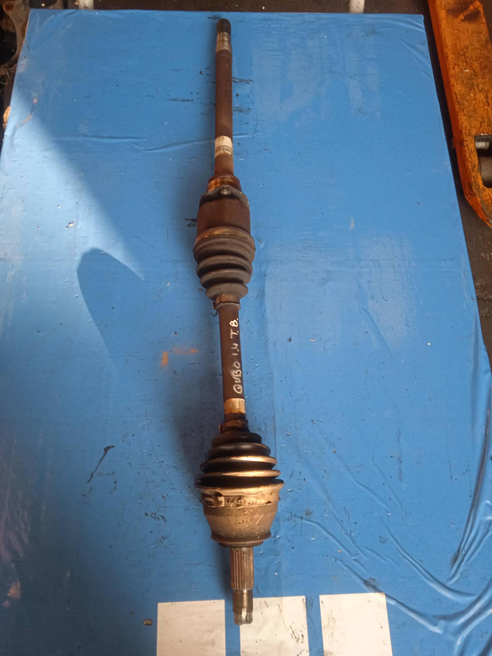 Semialbero ant. compl. dx.